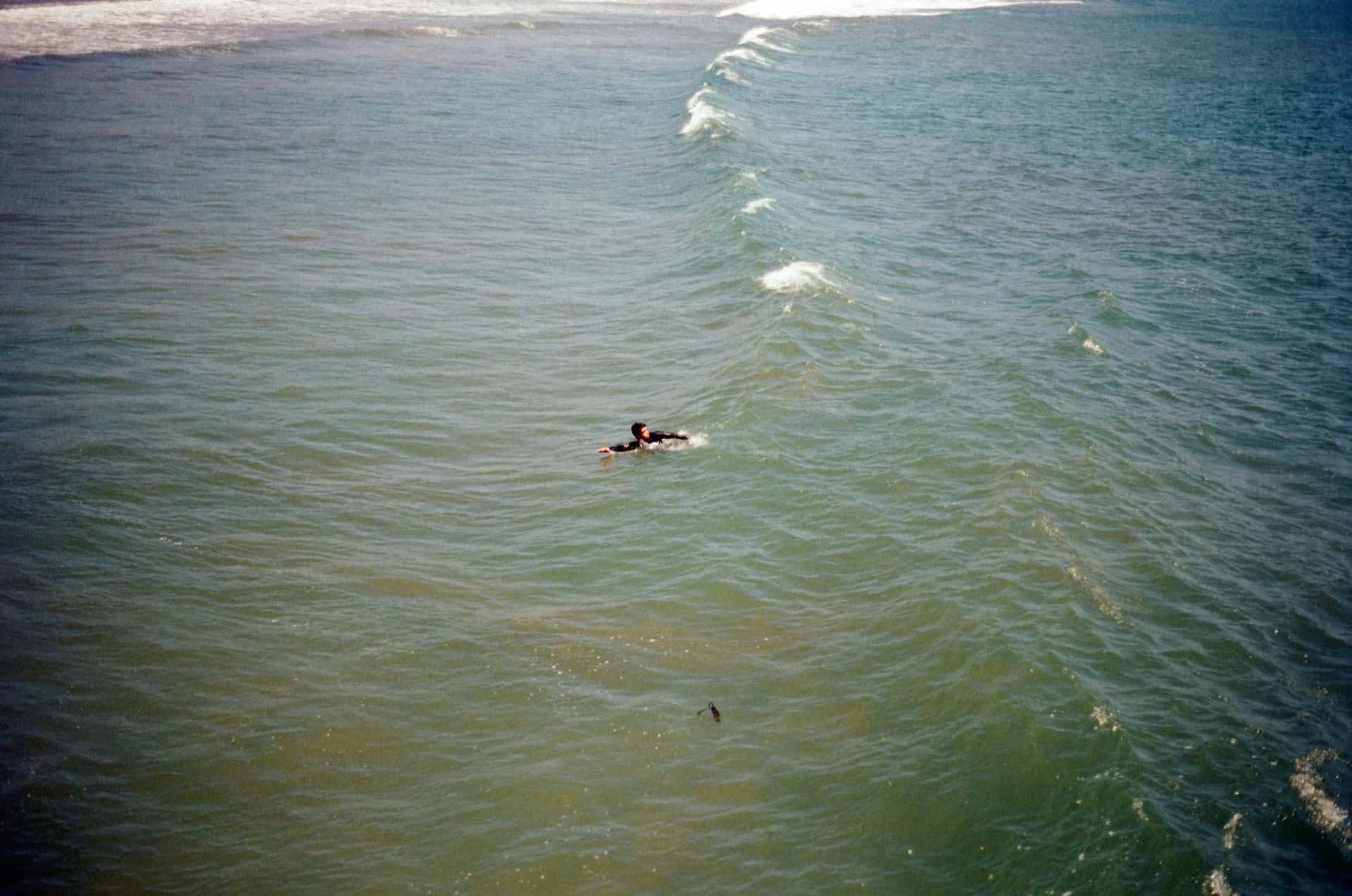 A Swim Back to Shore